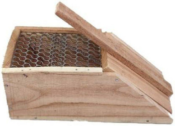 mouse trap online