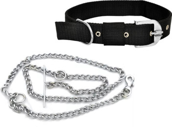 black dog chain collar