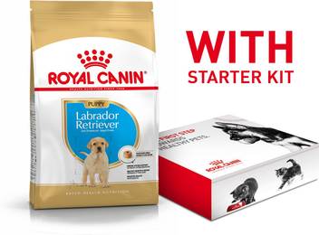 Royal Canin Labrador Retriever Puppy With Starter Kit Offer 3 Kg 2x1 5 Kg Dry Young Dog Food Price In India Buy Royal Canin Labrador Retriever Puppy With Starter Kit Offer 3