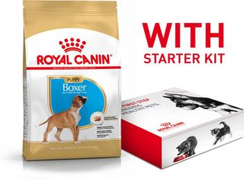 Royal Canin Boxer Puppy With Starter Kit Offer 3 Kg 2x1 5 Kg Dry Young Dog Food Price In India Buy Royal Canin Boxer Puppy With Starter Kit Offer 3 Kg 2x1 5
