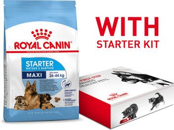 royal canin maxi starter 1 kg price