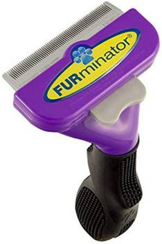 Furminator For Small Cat With Short Hair Shedding Blade Purple Pet