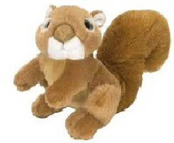 wild republic squirrel