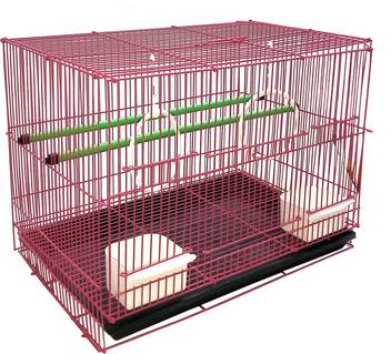 Jainsons Pet Products Bird Cage With Ring Bird House Price In India Buy Jainsons Pet Products Bird Cage With Ring Bird House Online At Flipkart Com
