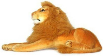 lion soft
