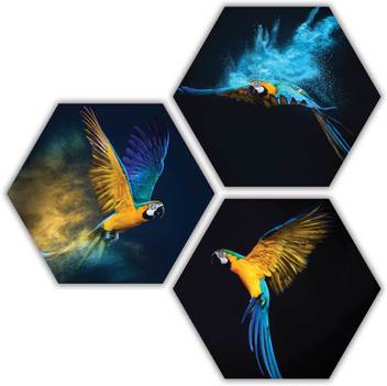 Art Amori The Flying Bird 3 Piece Hexagon Mdf Painting Digital