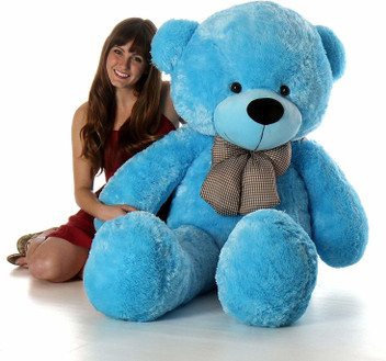 teddy bear sky blue colour