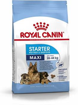 Royal Canin Maxi Starter For Mother Baby Dog 15 Kg Dry New Born Dog Food Price In India Buy Royal Canin Maxi Starter For Mother Baby Dog 15 Kg