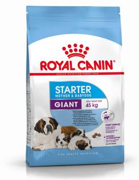 Royal Canin Giant Starter For Mother Baby Dogs 4 Kg Dry Adult Dog Food Price In India Buy Royal Canin Giant Starter For Mother Baby Dogs 4 Kg Dry