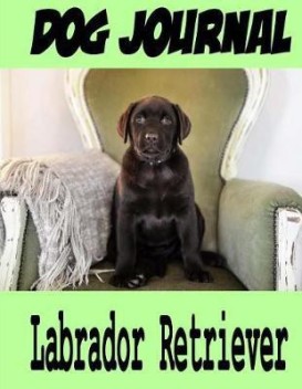 labrador dog price in flipkart