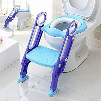 toilet training seat