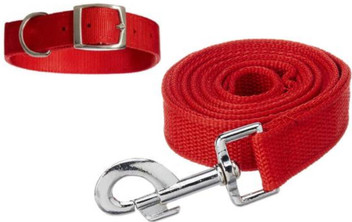 60-70 KG DOG WEIGHT Dog Collar \u0026 Leash