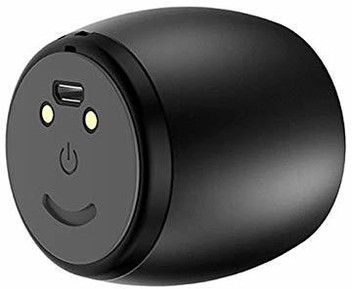 sardine f1 wireless speaker