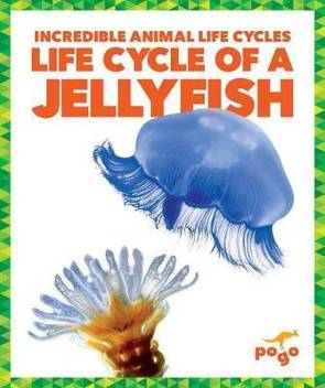 Life Cycle Of A Jellyfish Buy Life Cycle Of A Jellyfish By Kenney Karen At Low Price In India Flipkart Com