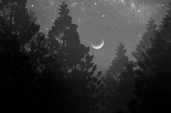 Black And White Moon Moon Quotes Wall Poster Romantic Poster Moon