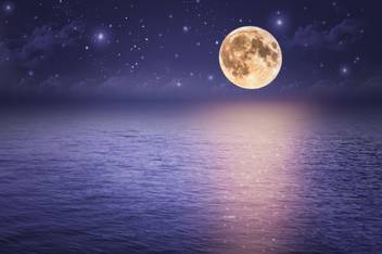 Yellow Moon Purple Water Moon Quotes Wall Poster Romantic Poster Moon Poster Paper Print Art Paintings Posters In India Buy Art Film Design Movie Music Nature And Educational Paintings Wallpapers At Flipkart Com,Purple Quotes Sayings