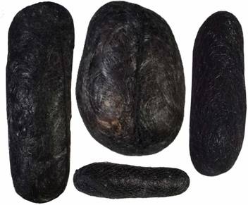 Dc Black Sponge Natural Hair Volume Bumpit Hair Claw Bun Hair