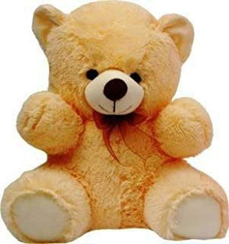 huggable teddy bear
