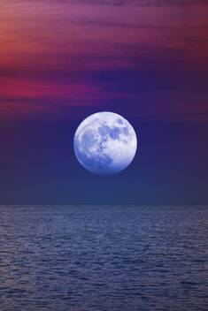 Beautiful Scene Of Full Moon Moon Quotes Wall Poster Romantic Poster Paper Print Nature Posters In India Buy Art Film Design Movie Music Nature And Educational Paintings Wallpapers At Flipkart Com
