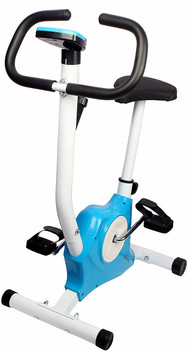 exercise bicycle online