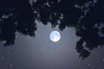 Beautiful Romantic Full Moon Moon Quotes Wall Poster Romantic Poster Moon Poster Wall Sticker Paper Poster Size Paper Print Decorative Posters In India Buy Art Film Design Movie Music Nature And Educational Paintings Wallpapers At Flipkart Com