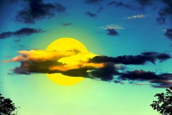 Full Moon In Beautiful Night Moon Quotes Wall Poster Romantic Poster Moon Poster Wall Sticker Paper Poster Size Paper Print Nature Posters In India Buy Art Film Design Movie Music Nature And Educational Paintings Wallpapers At