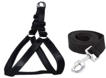 Dog body belt flipkart Clearance