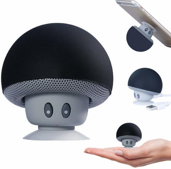 flipkart mini speaker