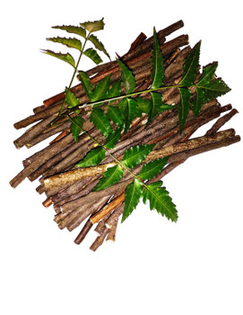 buy neem twigs online