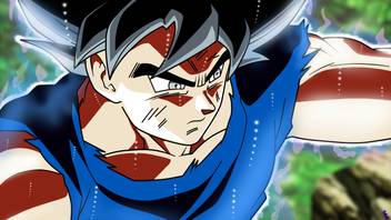 Goku Fight In Ultra Instinct Sticker Poster Dragon Ball Z Poster