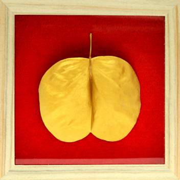 Artej Gold Coloured Apta Leaf In Beautiful Gift Box Price In India Buy Artej Gold Coloured Apta Leaf In Beautiful Gift Box Online At Flipkart Com Патчи гидрогелевые для кожи вокруг глаз с золотом.