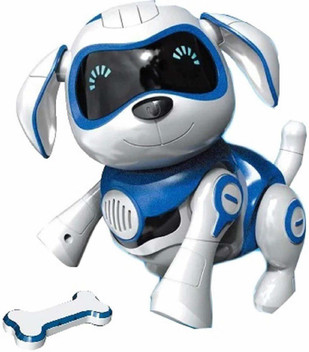 remote control talking robot