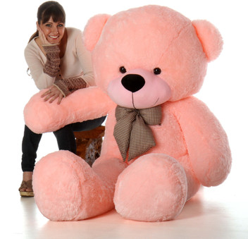 soft teddy