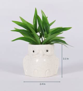 Vr Creatives White Owl Miniature Flower Pots Ceramic Vase Price In