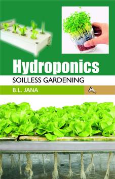 Hydroponics Soilless Gardening Buy Hydroponics Soilless