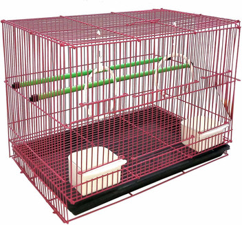 buy bird cage