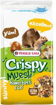 versele laga hamster
