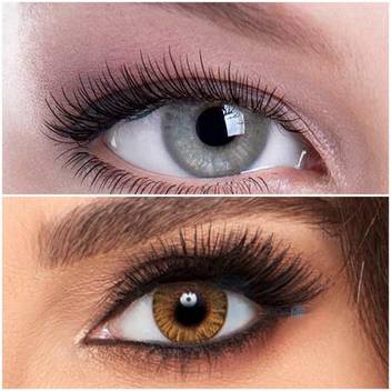 Optify 2 Pair Grey Hazel Colored Contact Lens Monthly Price In