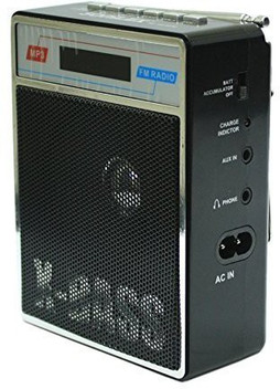 speaker amplifier flipkart