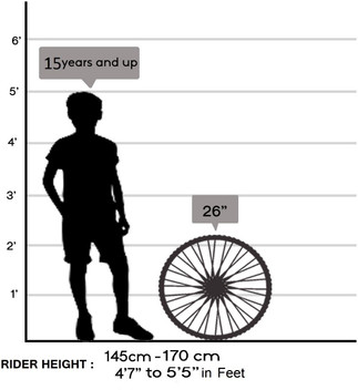 standing cycle price