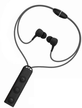 best earphones with mic