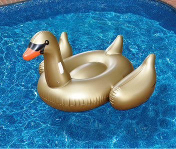 swimline pool float