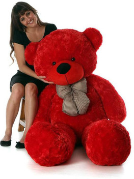 birthday gift for girlfriend teddy bear