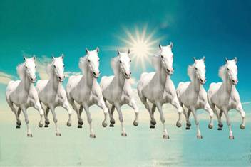 Vastu Poster White 7 Horse Vastu Painting Beautiful Seven Horse