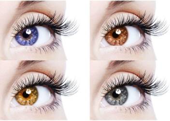 Eycog 4 Pair Monthly Blue Brown Hazel Grey Colored 0 Power Contact