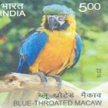 Sams Shopping Exotic Birds Blue Macaw Exotic Bird Blue Macaw Ara Macaw Mac Aw Parrot Stamps Price In India Buy Sams Shopping Exotic Birds Blue Macaw Exotic Bird I hope yeh video jarur aap sab k lea helpful rehenge.