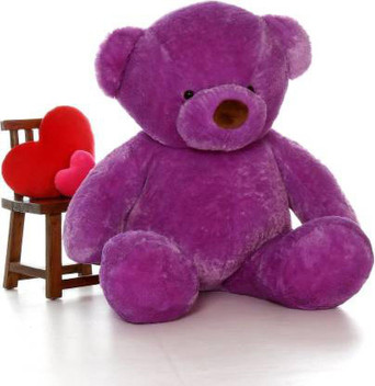 purple color teddy bear