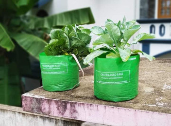 cheap grow bags online