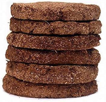 Navya Agriorganic Cow Dung Cake 35 Piece Price In India Buy Navya Agriorganic Cow Dung Cake 35 Piece Online At Flipkart Com They are versatile and are easily adaptable to different weather patterns. navya agriorganic cow dung cake 35 piece