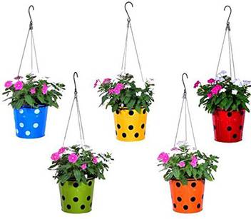 Athena Creations Dotted Round Planter With Hanging Wire Rope Multicolour Plant Container Set Price In India Buy Athena Creations Dotted Round Planter With Hanging Wire Rope Multicolour Plant Container Set Online
